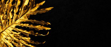 Altın Canavar karanlık bir arka planda kalır..