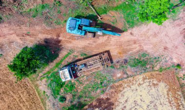 Ormanların yok oluşunun en üst görüntüsü