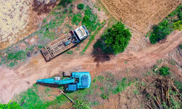 The top view of human deforestation