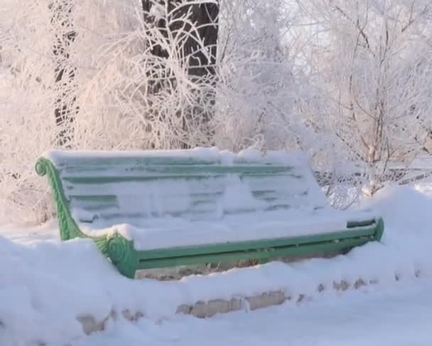 大雪覆盖的长椅 — 图库视频影像