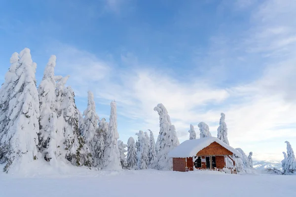 Горный зимний снежный пейзаж. Деревянный дом и елки под снегом. — стоковое фото