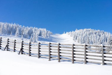 Kış güneşli dağ manzarası. Kayak yamacındaki fidan ağaçları ve tahta çitler