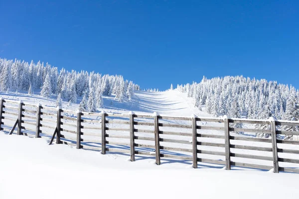 Зимний солнечный горный пейзаж. Еловые деревья на лыжном склоне и деревянный забор — стоковое фото