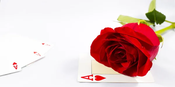 Rosa y tarjeta — Foto de Stock