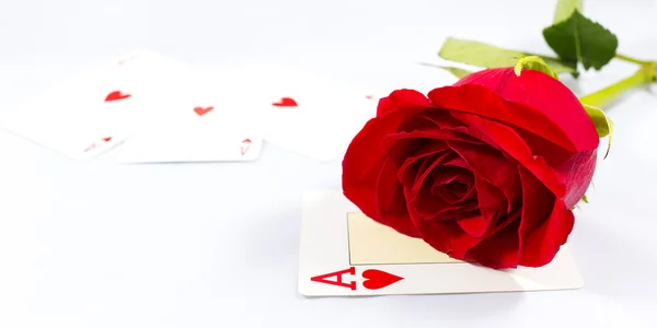 Τριαντάφυλλο και κάρτα — Φωτογραφία Αρχείου