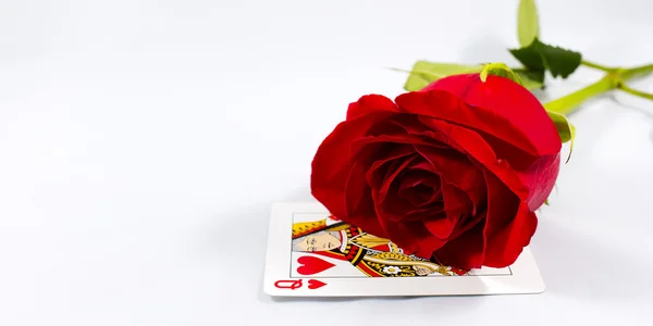 Роза і картки — стокове фото