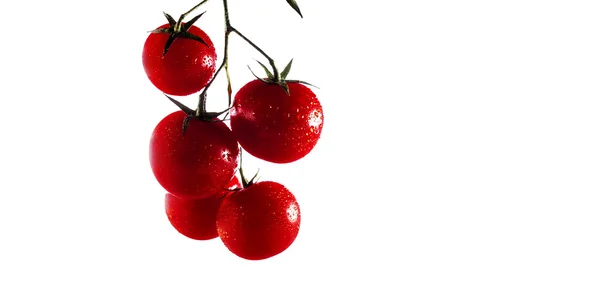 Tomate cereza — Foto de Stock