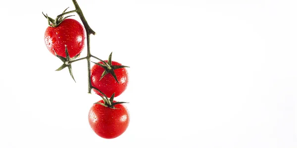 Tomate cereza — Foto de Stock