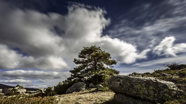 Vysoké horské krajiny v zamračený den — Stock fotografie