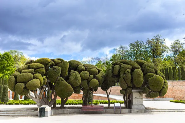 Retiro park ve bahçeler. — Stok fotoğraf