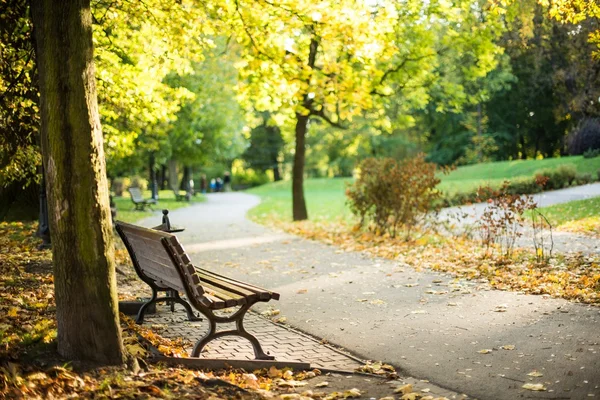 Un lugar tranquilo — Foto de Stock