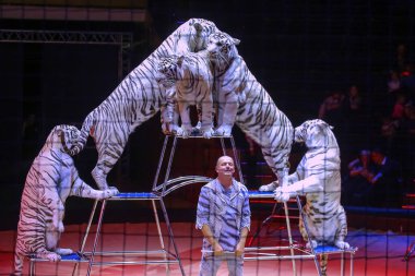 Minsk, Belarus - 27 Eylül 2019: Sergey Nesterov. II Minsk Uluslararası Sirk Sanat Festivali.