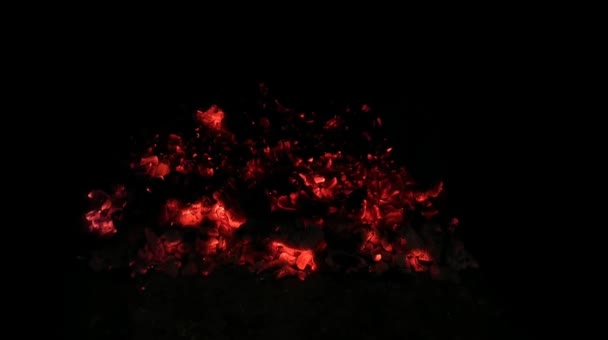 Горячие Угли Камине Зимой После Освещения Дровами — стоковое видео