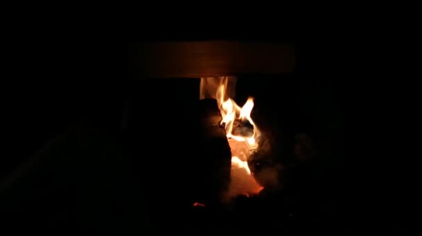 阿拉斯加的一个壁炉里用木柴取暖 — 图库视频影像