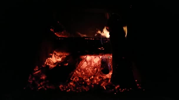 저녁에 벽난로에서 땔감을 태우는 사람들이 — 비디오
