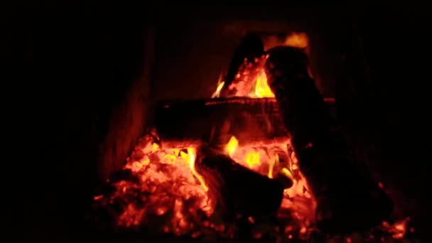 Kilka Spalanie Drewna Opałowego Kominku Ciągu Dnia — Wideo stockowe