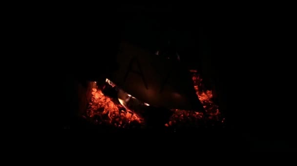 生木柴在壁炉里燃烧 — 图库视频影像