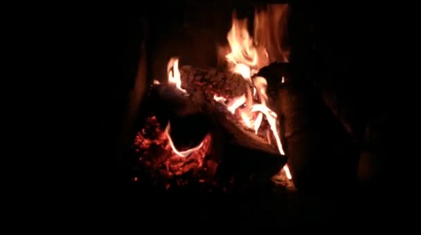 Raw Firewood Burns Fireplace — Stock Video