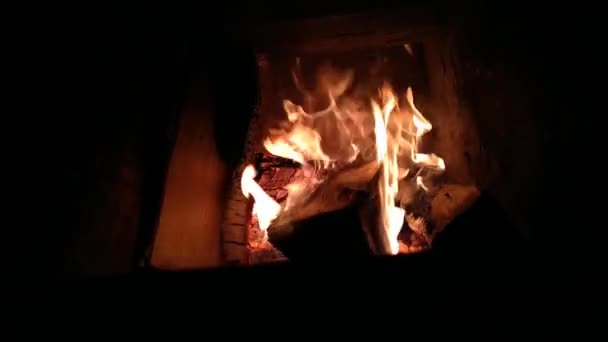 Video Bottom How Firewood Burns Fireplace Evening — Stock Video