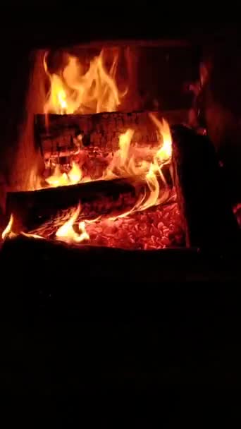 Vertikální Video Požáru Krbu Teplo Pohodlí Domova Krbu Hoří Dřevo — Stock video