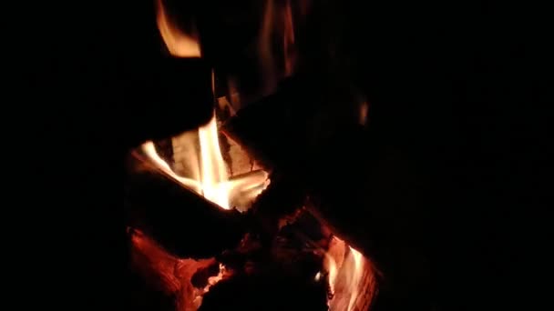 Detailní Záběr Opravdového Krbu Hořícího Dřevěným Ohněm Spaluji Biofiremísto Moderní — Stock video