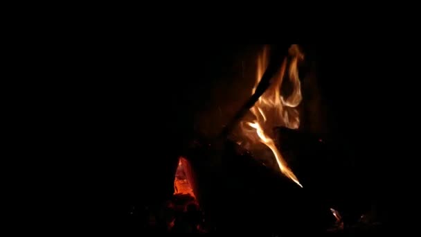男はストーブの中で薪を燃やす 冬の暖房コンセプト — ストック動画