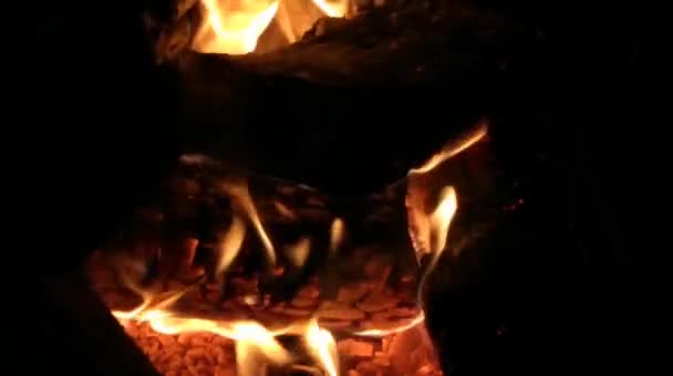 Leña Diferente Chimenea Con Fuego — Vídeo de stock