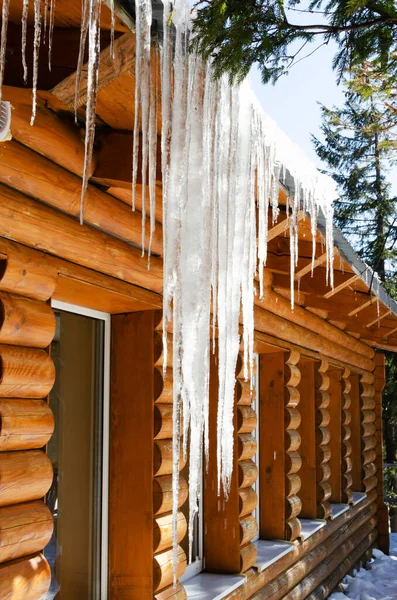 Large Icicle Pine Branch Wooden House Sunny Day Beautiful Amazing Stock Image