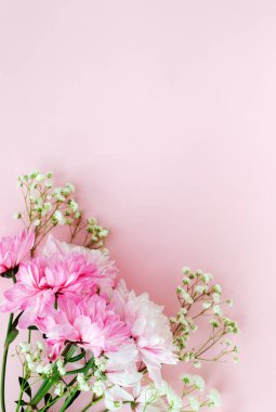Pembe arka planda pembe kasımpatı dalı. Bahar. Anneler günü konsepti. Dikey oryantasyon. Boşluğu kopyala.