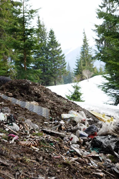 The concept of anthropogenic pollution of forests and nature. A terrible dump in the forest, a lot of cigarette butts, bottles against the backdrop of pine trees and snow-capped mountains.