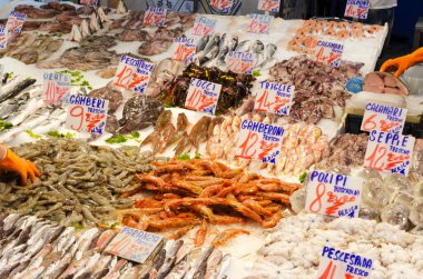 Büyük karidesler. Kalamar, ahtapot ve pazarda buzdaki bir sürü farklı balık türü. Deniz ürünleri konsepti. Horiontal durulama. Seçici odak.