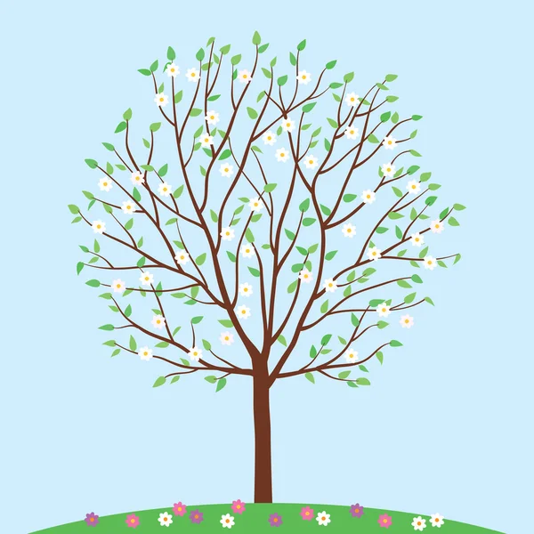 Albero di primavera con fiori. Illustrazione vettoriale . — Vettoriale Stock