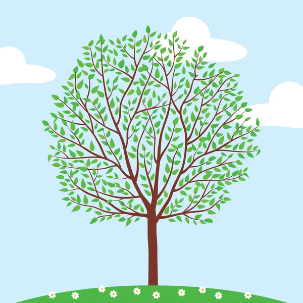 Albero in estate. Illustrazione vettoriale . — Vettoriale Stock