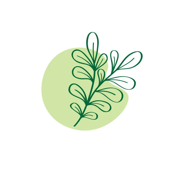 自然叶子 有机标志设计 — 图库矢量图片