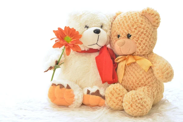 Teddy bear with flower — Stock Photo, Image