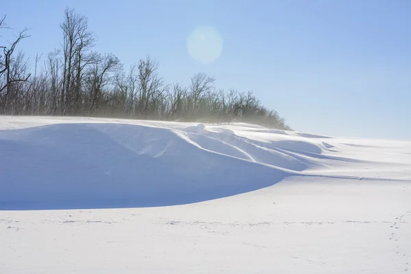 Poiana invernale — Foto Stock