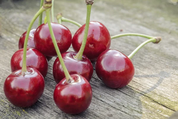 Cereza — Foto de Stock