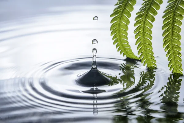 Gota de água — Fotografia de Stock