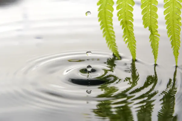 Goccia d'acqua — Foto Stock