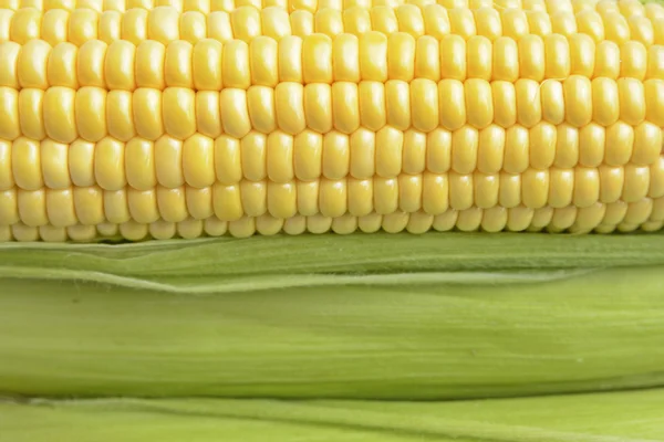 Corn — Stock Photo, Image