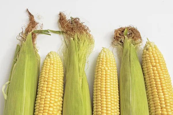 Corn — Stock Photo, Image