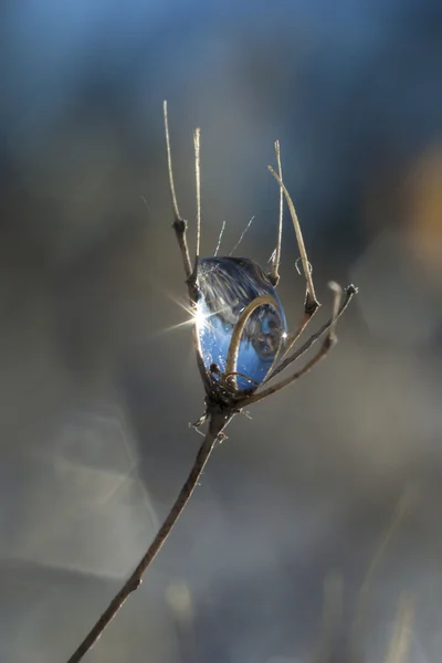 Zmrzlý déšť (34) — Stock fotografie