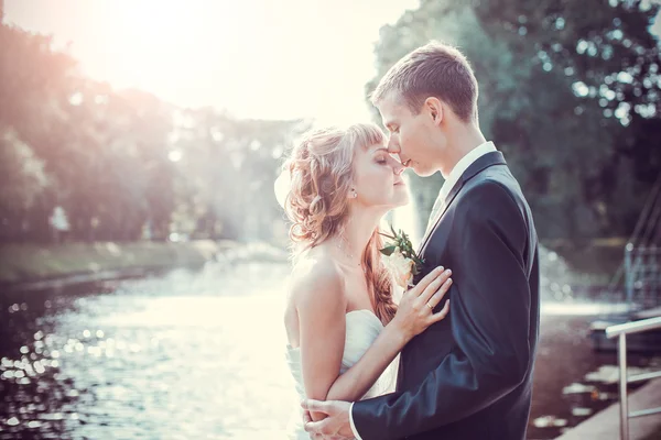 Beijo de casamento emocional — Fotografia de Stock