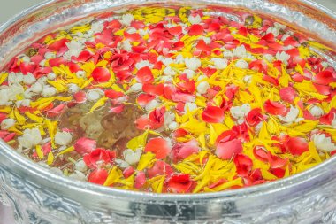 songkran festiv için bir kapta jusmine ve gül corolla ile su