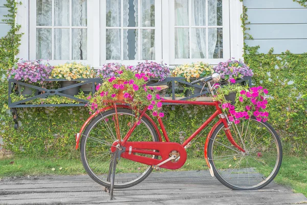 Vintage tuin fiets — Stockfoto