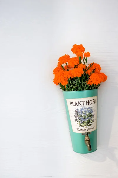 Blomst pot med orange blomster hængende på et hus væg - Stock-foto