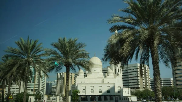 White Mosque Palm Trees Dubai City United Arab Emirates — Stock Photo, Image