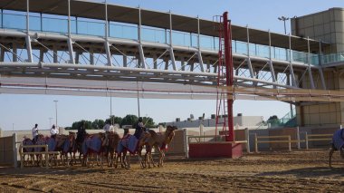 Dubai, Birleşik Arap Emirlikleri, 20 Ekim 2021: Birleşik Arap Emirlikleri Dubai 'deki deve yarışı pistinde Camel eğitimi