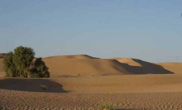 Dubai Deserto Dune Paesaggio Negli Emirati Arabi Uniti — Foto Stock