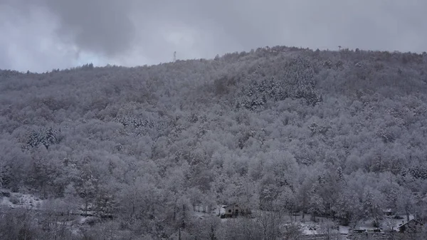 Besneeuwde Bomen Bergen Van Les Thermes Frankrijk December 2021 — Stockfoto